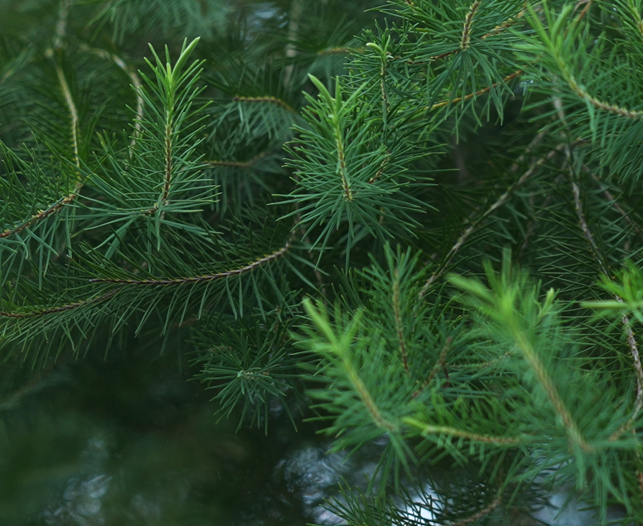 【POP UP】12.1 - 12.31 at atick