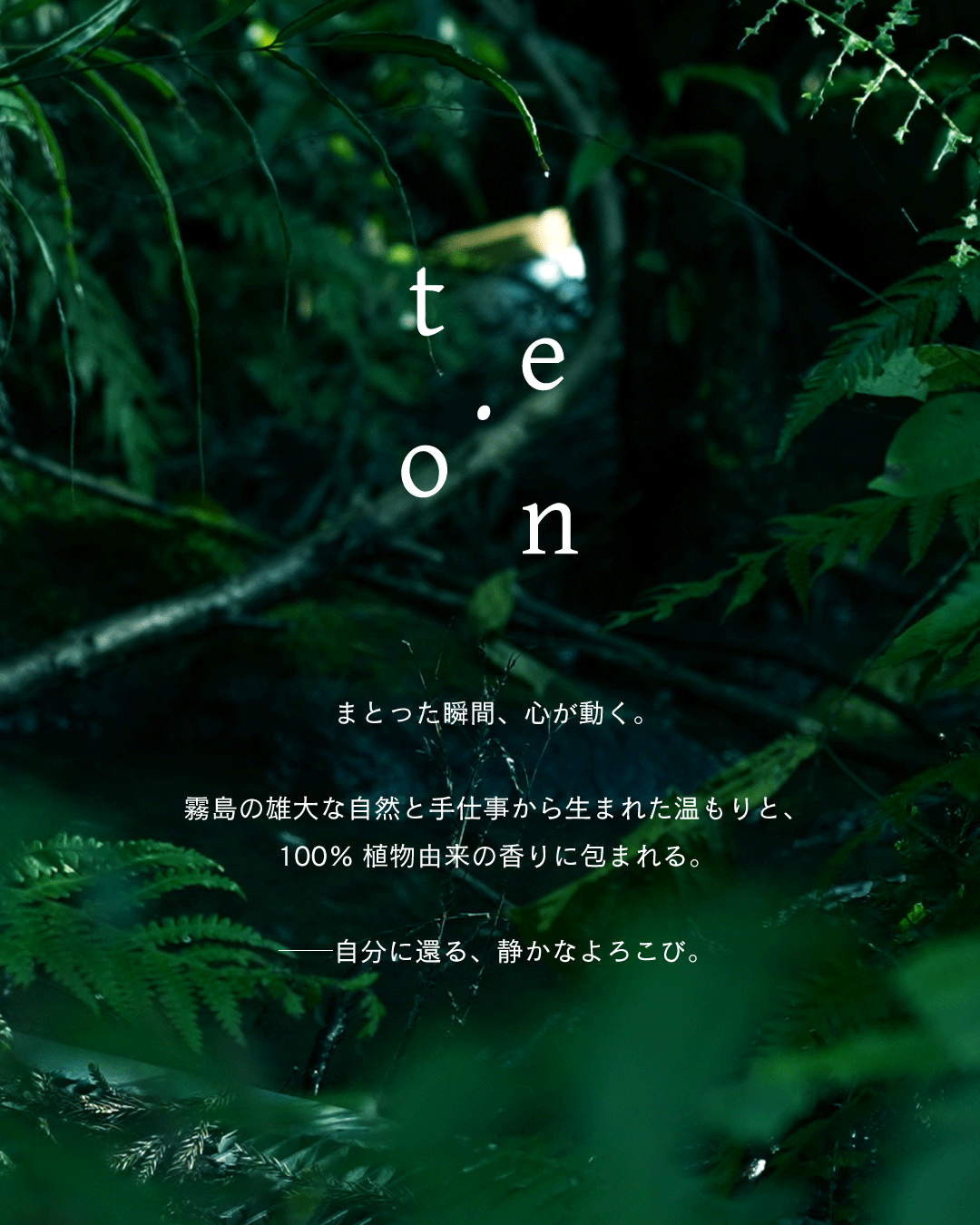 ブランドロゴリニューアルのお知らせ