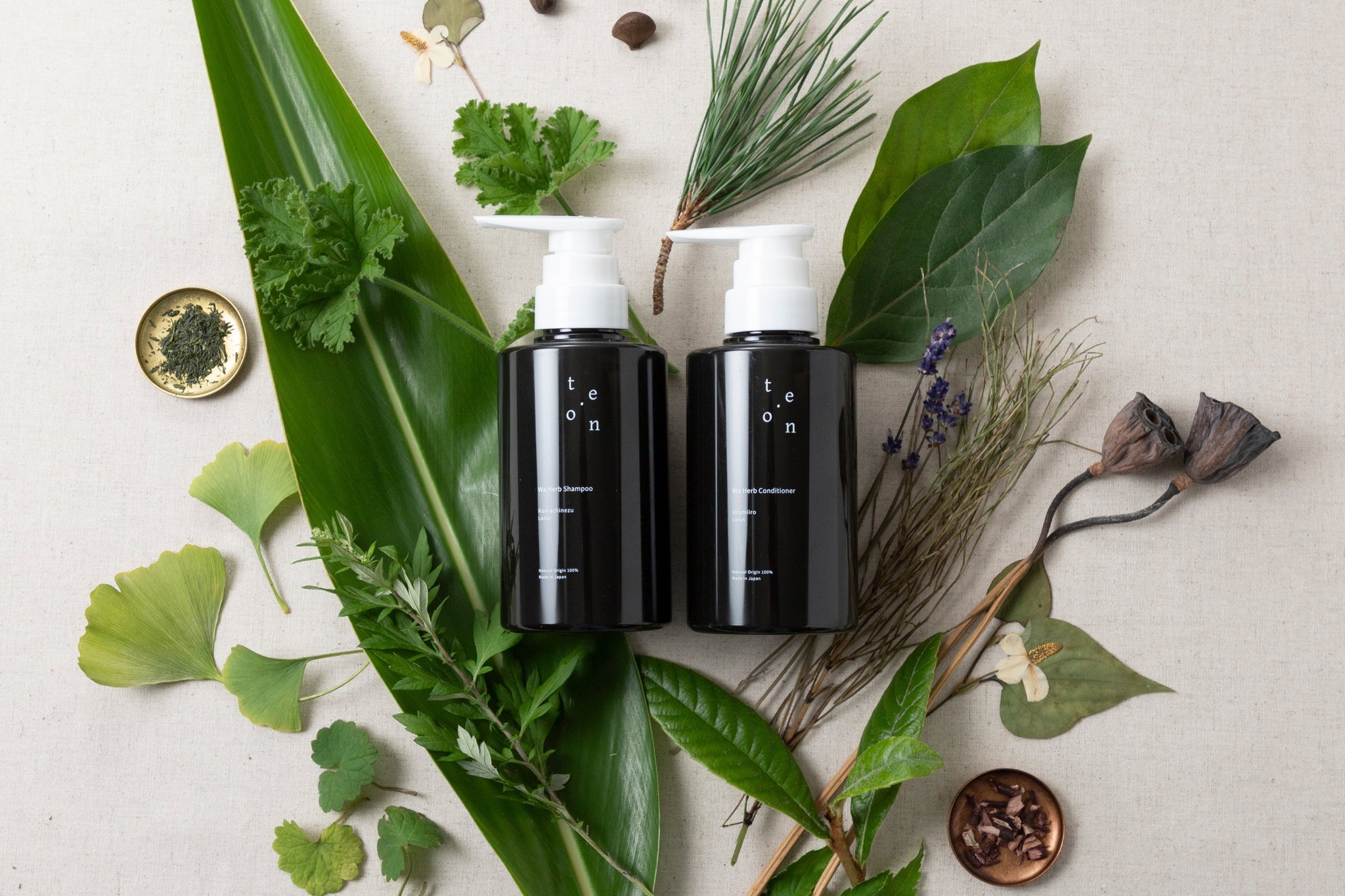 【New Item】 Wa Herb Shampoo・Conditioner 11/29発売！