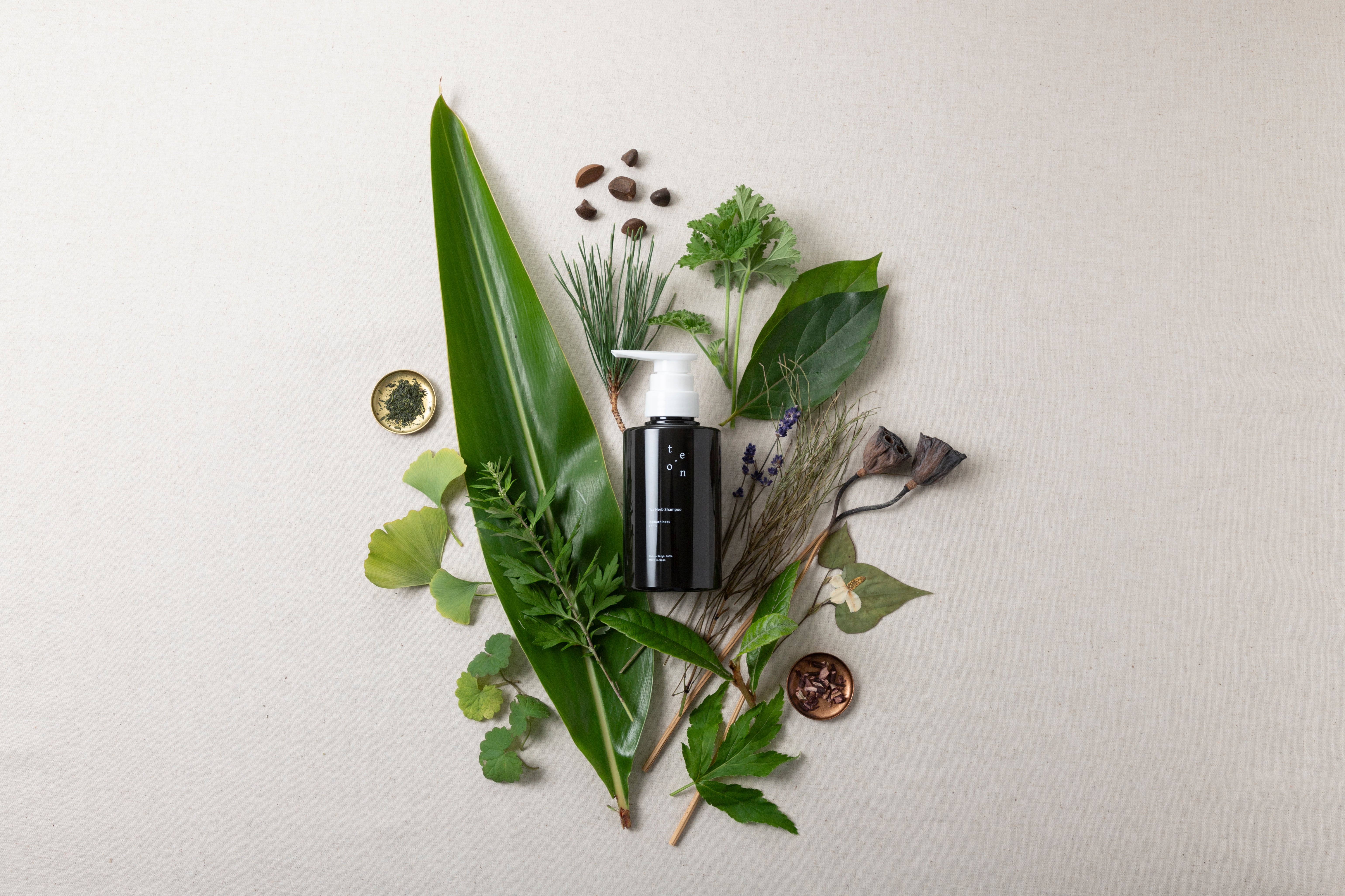 サロン限定販売]Wa Herb Shampoo シャンプー -Komachinezu- 300mL – te.on